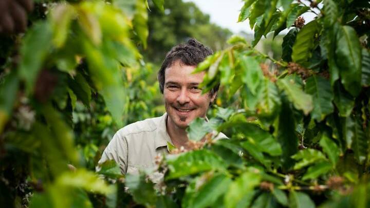 Professor Tobias Kretzschmar inspects a test plot of coffee cultivars.