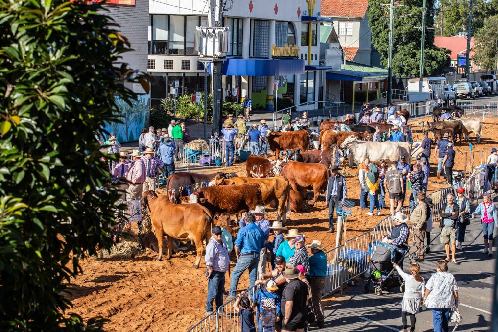 Beef Week celebrations are back in the Casino CBD this week. Picture supplied