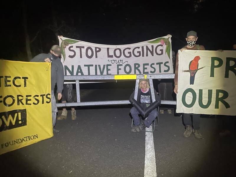 Conservationists are concerned that a new compliance squad plans to shut down logging protests. (HANDOUT/LUCA LAMONT)