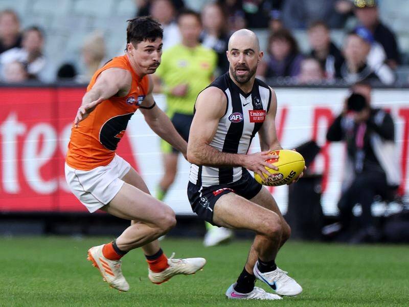 Steele Sidebottom will bring up his 300th AFL game when Collingwood host North Melbourne on Sunday. (Jonathan Di Maggio/AAP PHOTOS)