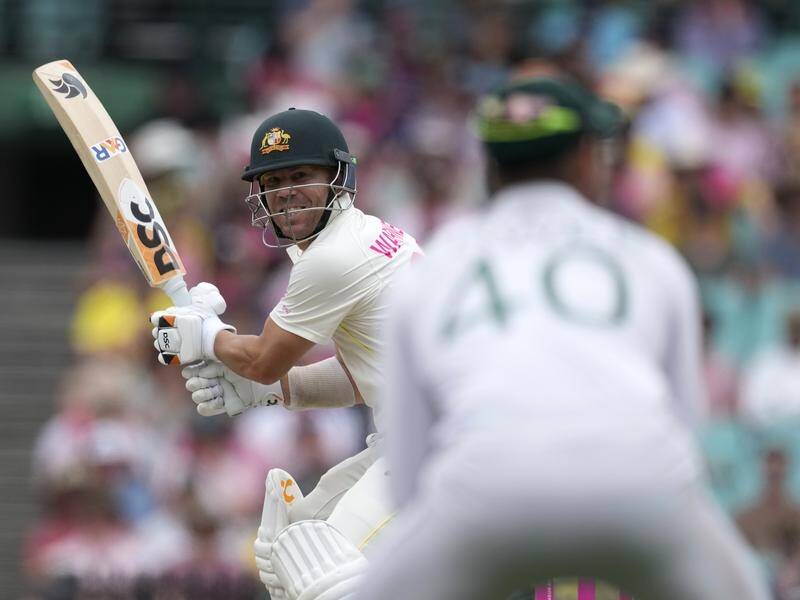 David Warner is set to play a leading role as Australia travel to England to contest the Ashes. (AP PHOTO)