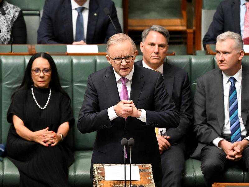 Anthony Albanese says a 'yes' vote is a chance to take the next step towards reconciliation. (Lukas Coch/AAP PHOTOS)