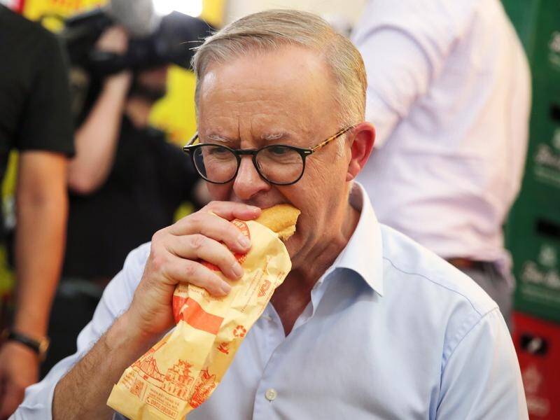 Prime Minister Anthony Albanese enjoys a banh mi prior to attending talks with Vietnam leaders. (EPA PHOTO)